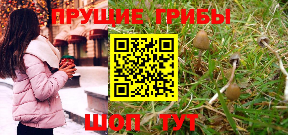 Псилоцибиновые грибы MAGIC MUSHROOMS Тара