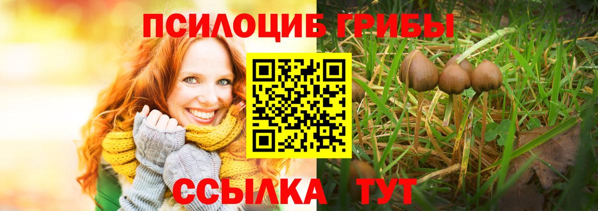 Тара  Псилоцибиновые грибы мицелий  Галлюциногенные грибы Magic Shrooms  Вход с VPN 